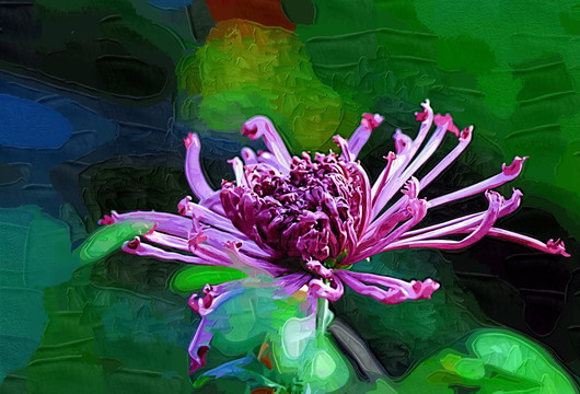 油畫 花卉油畫 裝飾畫
