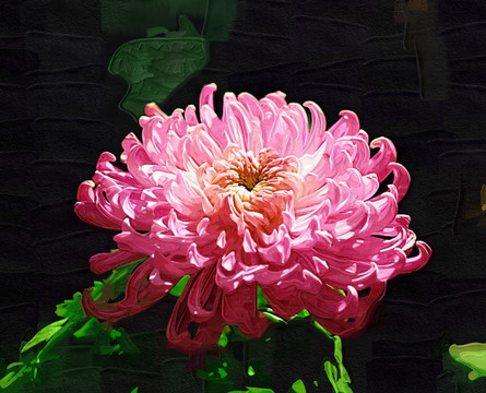 秋菊 花卉油畫 裝飾畫 無框畫