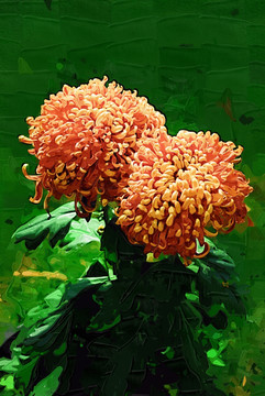 秋菊 花卉油畫 裝飾畫 無框畫