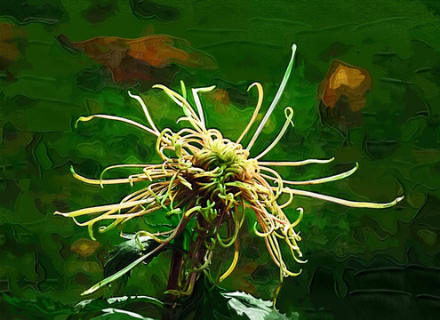 秋菊 花卉油畫 裝飾畫 無框畫