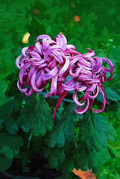 秋菊 花卉油畫(huà) 裝飾畫(huà) 無(wú)框畫(huà)