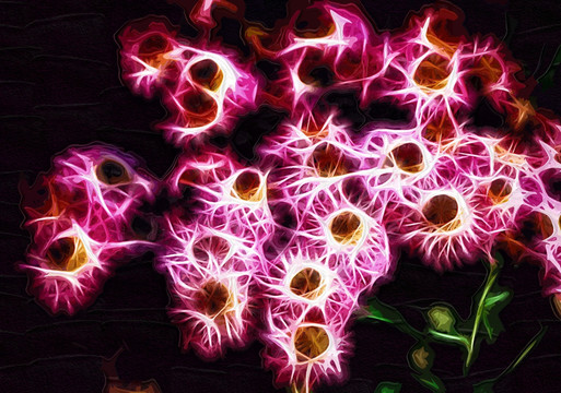 秋菊 花卉油畫 裝飾畫 無框畫