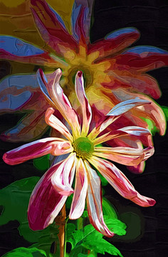 秋菊 花卉油畫 裝飾畫 無框畫