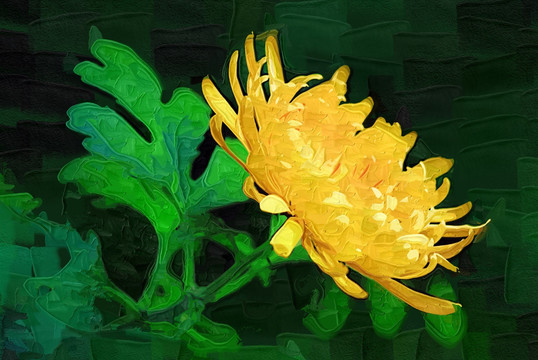 秋菊 花卉油畫 裝飾畫 無框畫