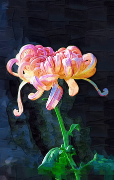 秋菊 花卉油畫 裝飾畫 無框畫