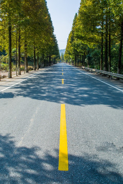 柏油路