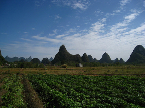 大埠风景