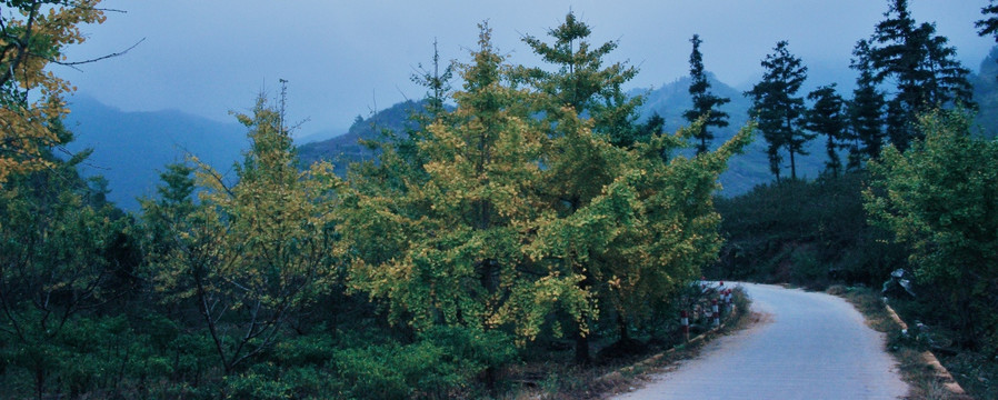 山区风景