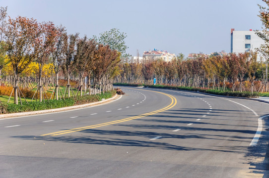 城市道路