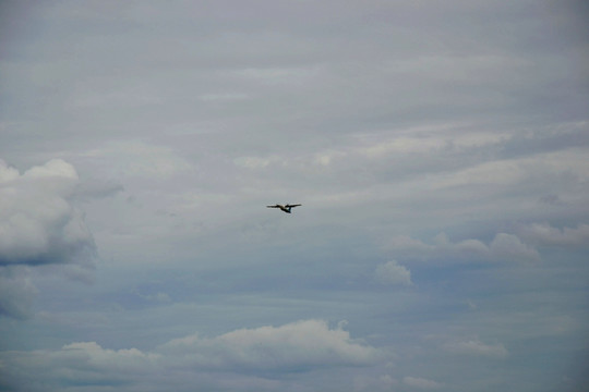 天空 飞机