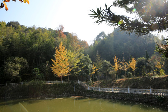 弥陀寺风光