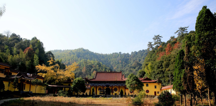 弥陀寺