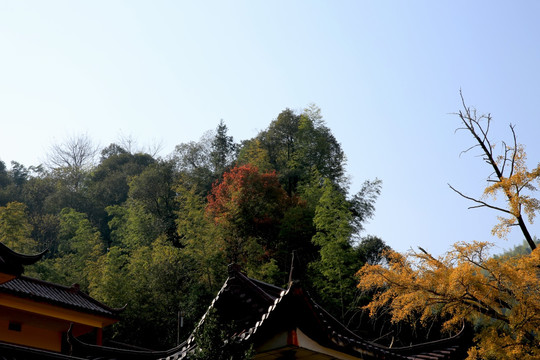 弥陀寺风景