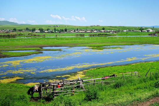 额尔古纳河湿地