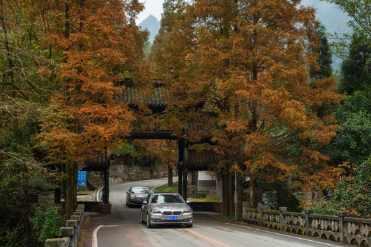 青城后山公路牌坊