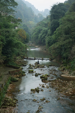 青城后山溪流