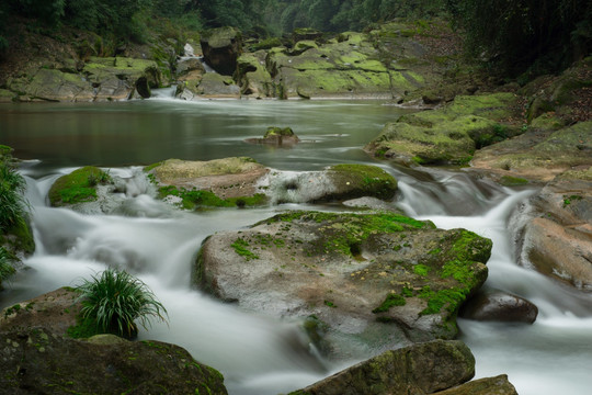 青城后山溪流