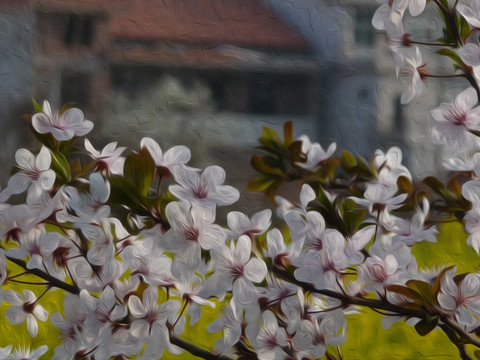 油画李子花