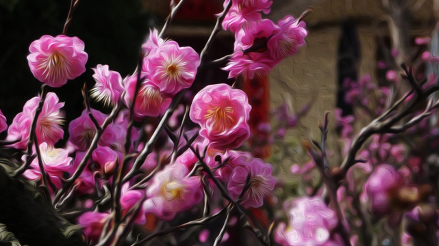 油畫臘梅