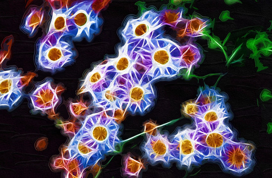 抽象畫 油畫 花卉油畫 裝飾畫