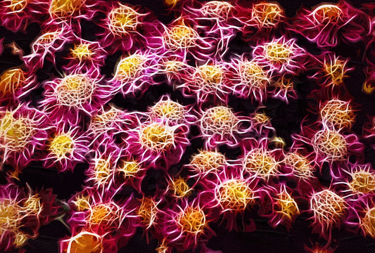 抽象油畫 花卉油畫 裝飾畫