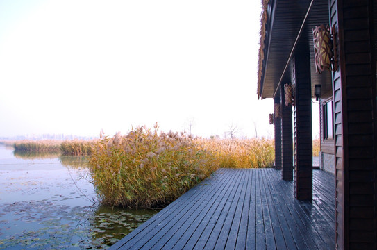 天津静海团泊湿地公园