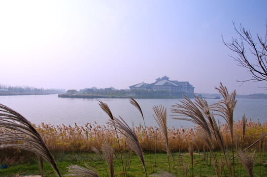 天津静海团泊湿地公园