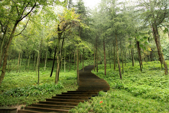 山间小路 青城山风景