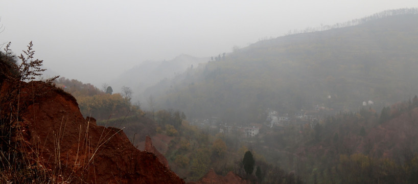 雾里风景