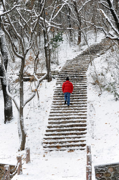 冬天雪景