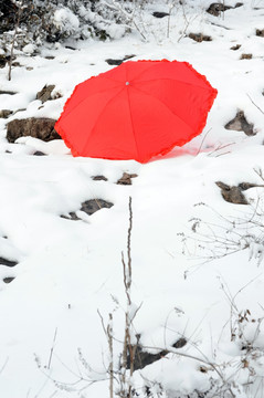 雪地里的一把红伞