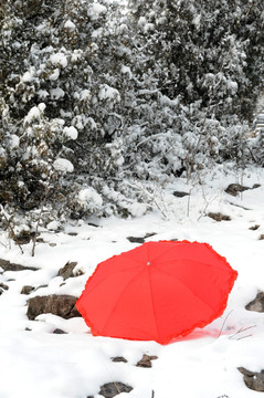 雪地里的一把红伞