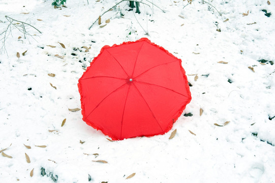雪地里的一把红伞