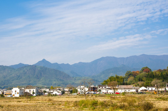 塔川秋色