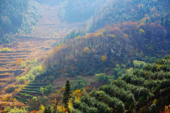 四明山秋色