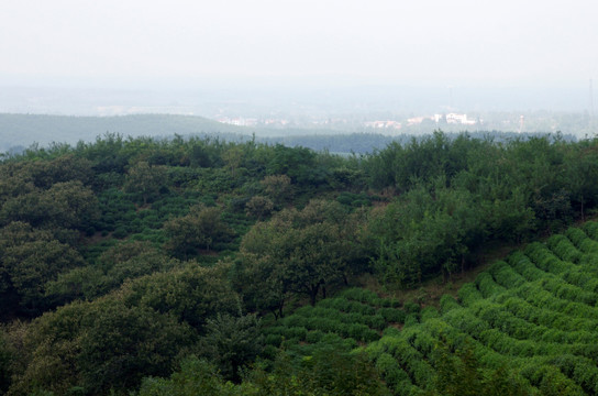 滁州施集山区林壑优美