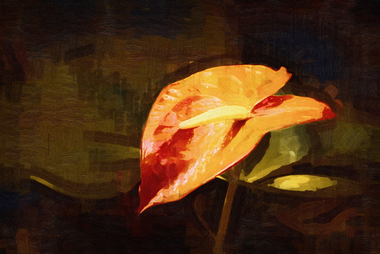 紅掌 花卉油畫 油畫 裝飾畫