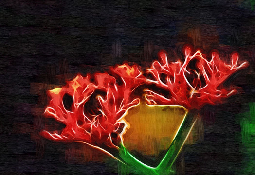 花卉油畫 油畫 裝飾畫 無框畫
