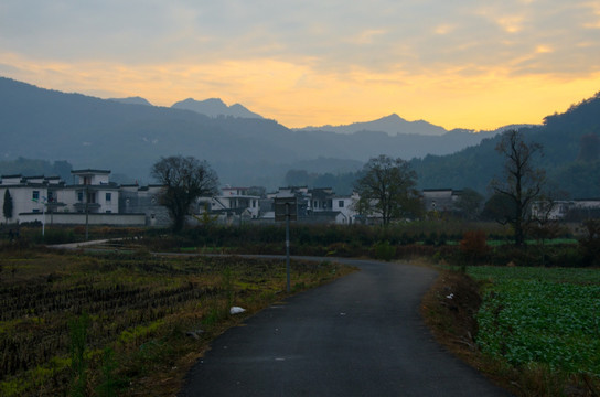 塔川秋色