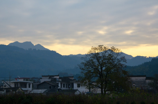 塔川秋色