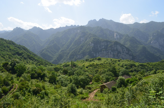 大寺村