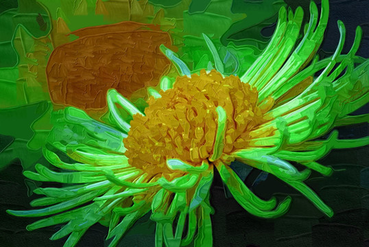油畫 花卉油畫 裝飾畫 無框畫