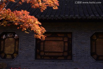 红叶 古窗 中国风 红枫