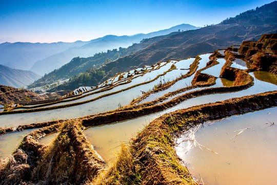 梯田 山