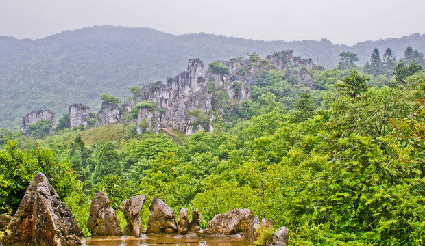 地形地貌 华蓥山石林