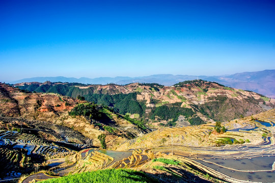 梯田 山