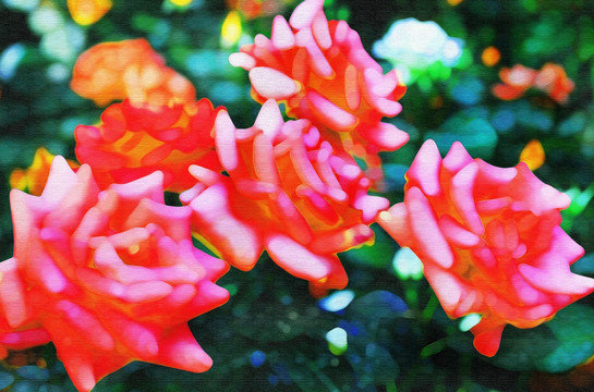月季花油畫