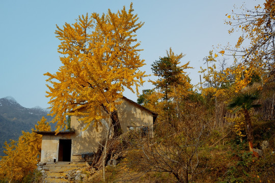 山坡小屋