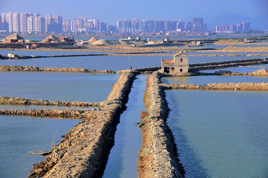 水塘和土堤