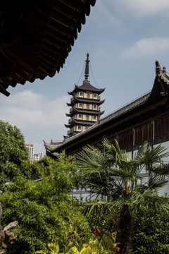 上海 真如寺